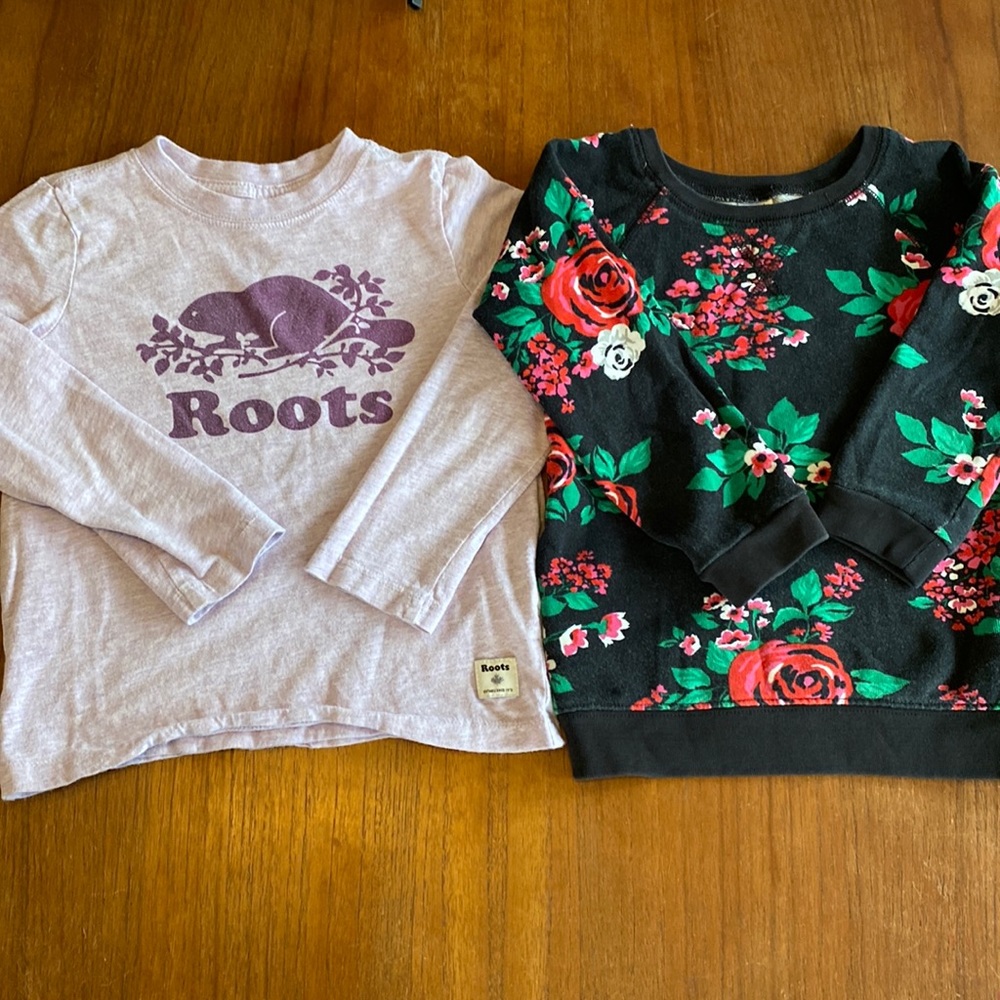 Girls 4T/5T bundle. Roots Lilac long sleeve and Carters Floral Crew sweatshirt!